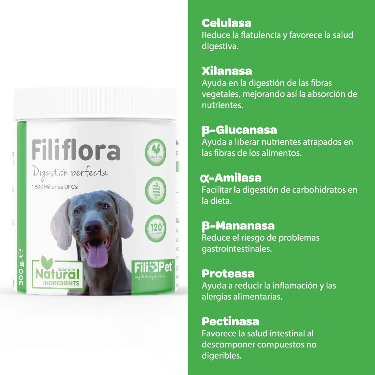 Filiflora Probiótico para perros - Imagen 6