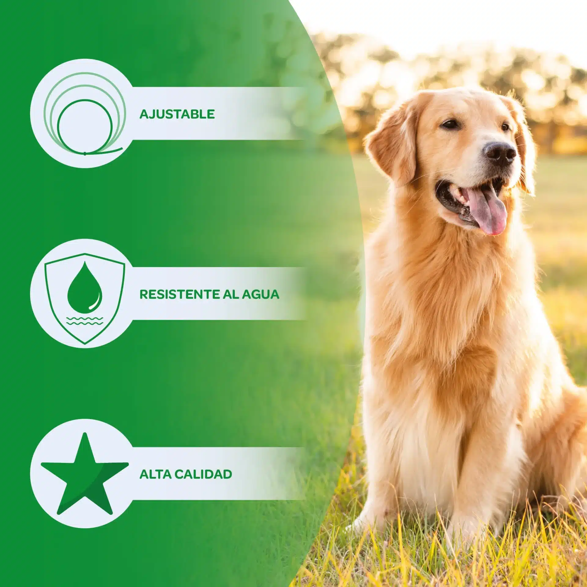 Collar Antiparásitos para Perro - Imagen 3