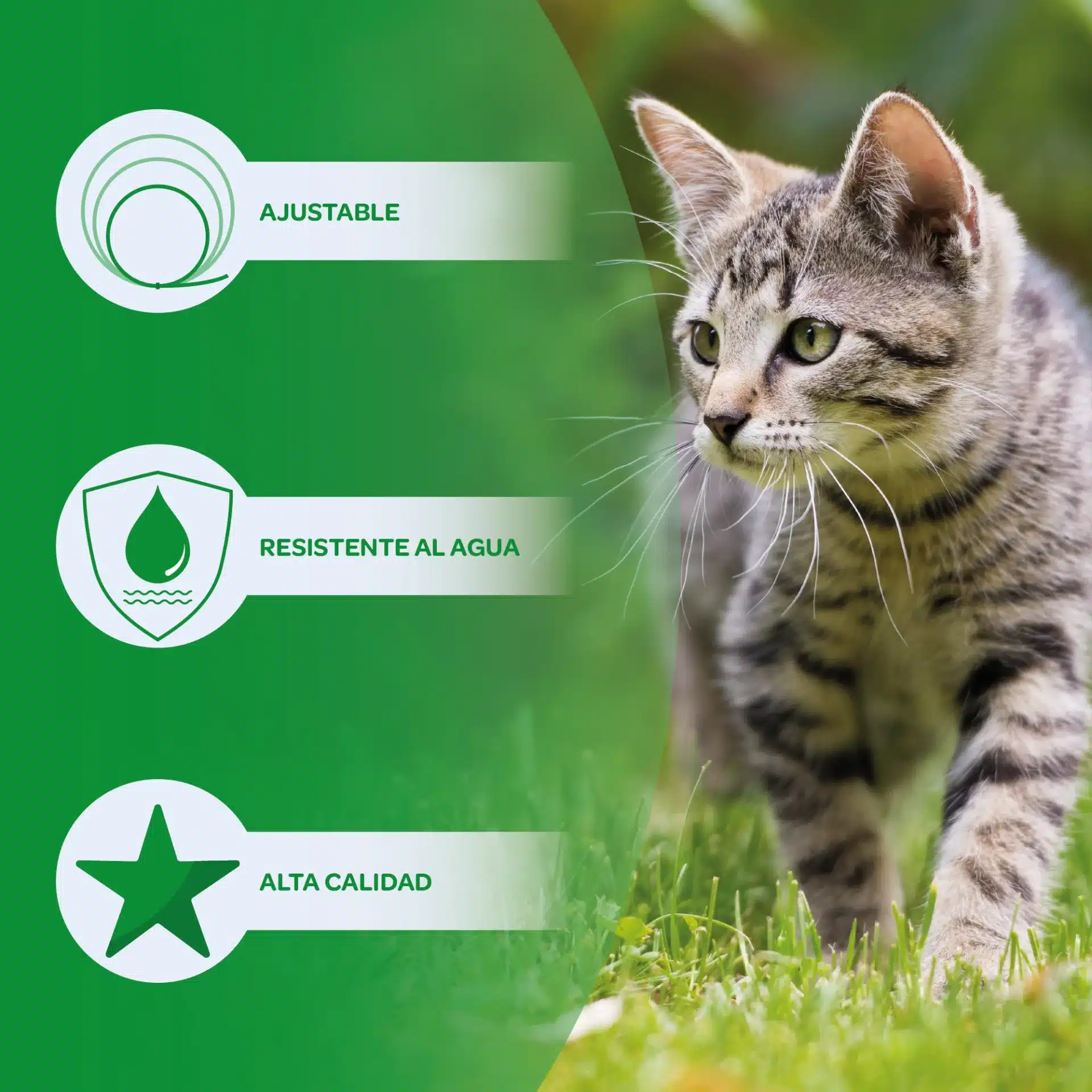 Collar Antiparasitos para Gato - Imagen 3