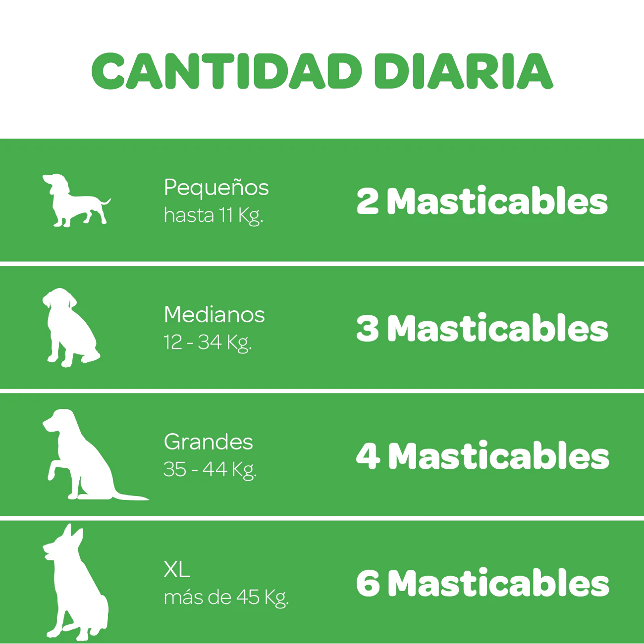 Filiflora Probiótico para perros - Imagen 7
