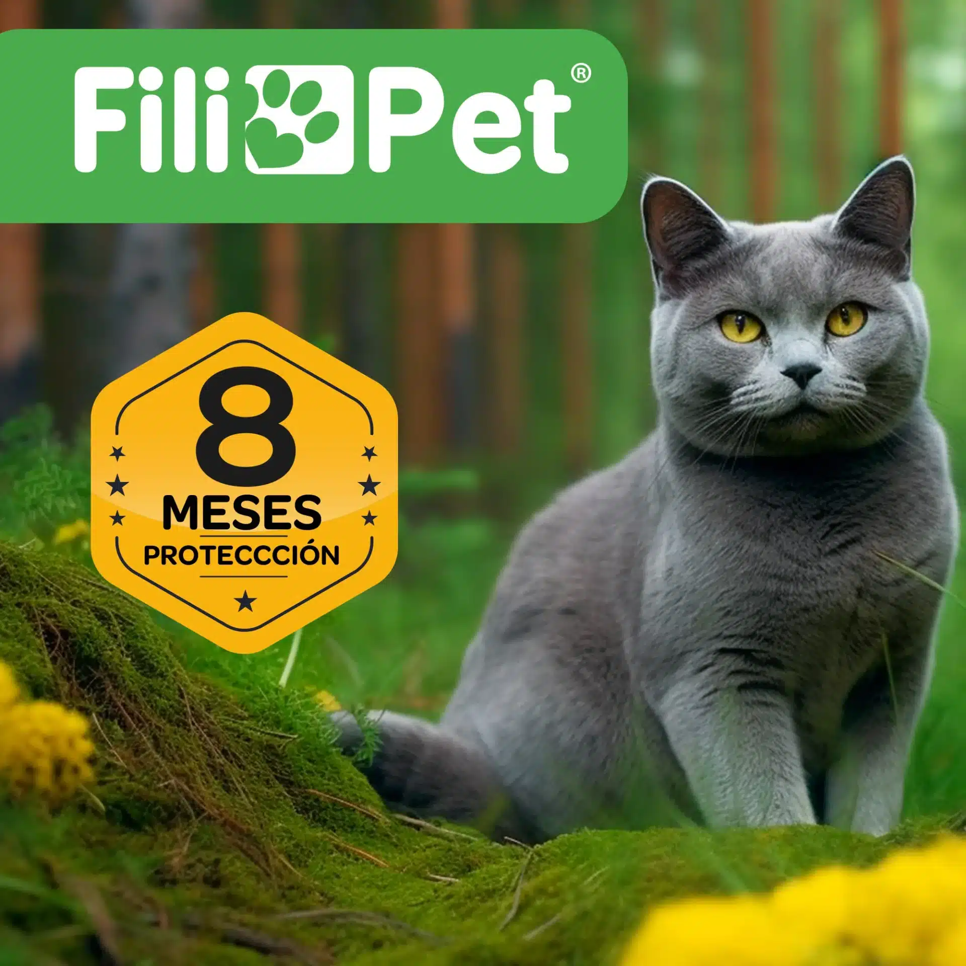 Collar Antiparasitos para Gato - Imagen 7