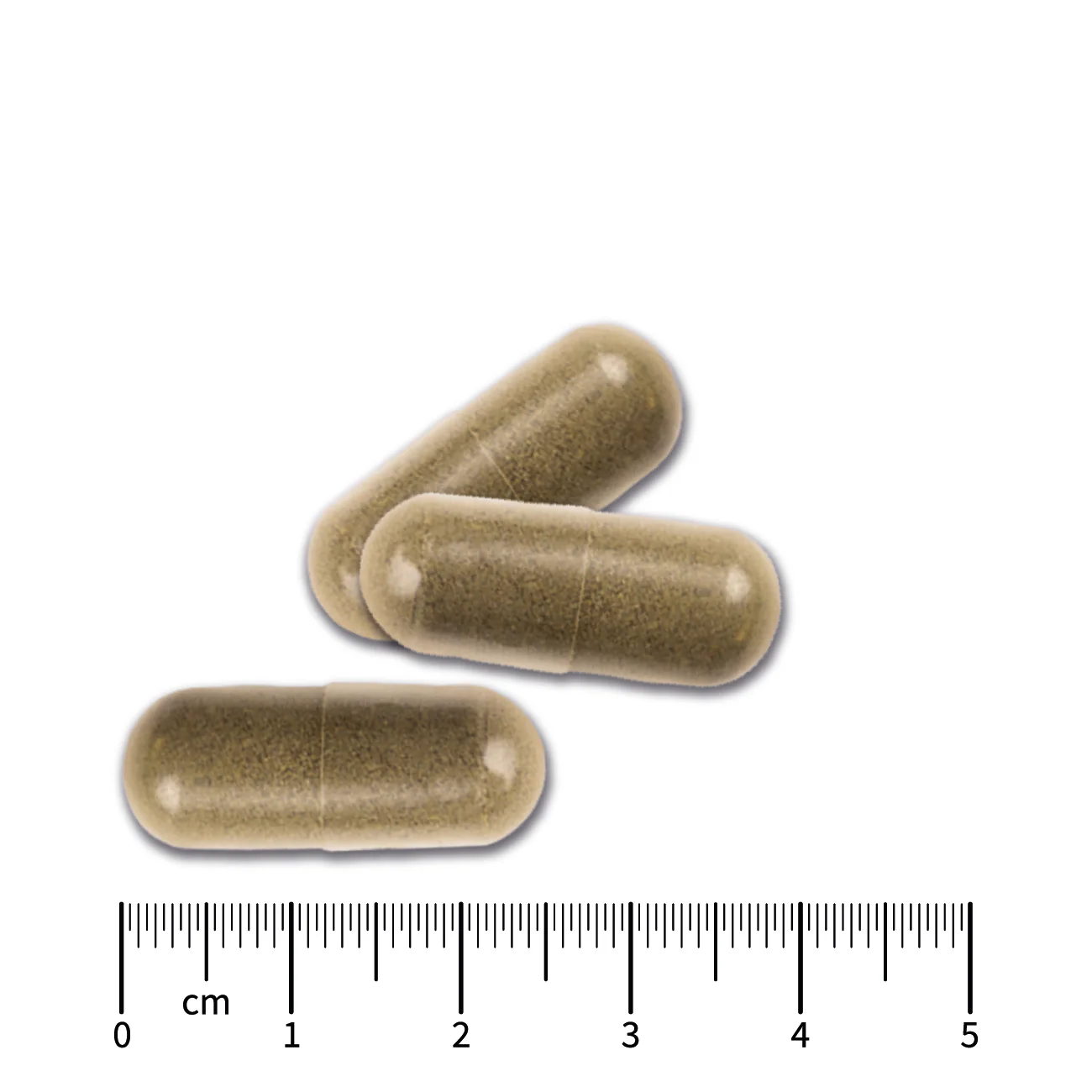 Garcinia Cambogia + Zinc y Cromo - Imagen 6