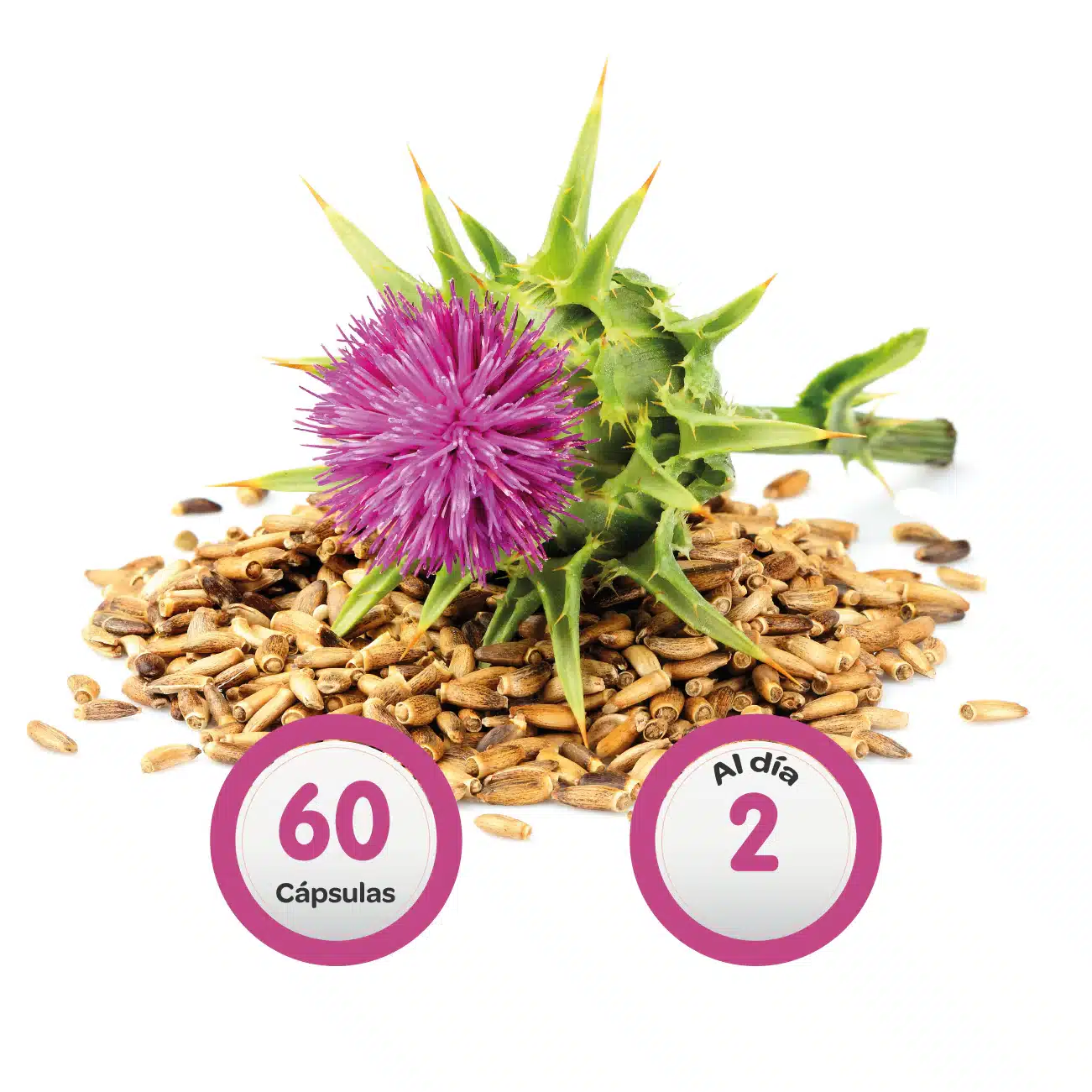 Hepatur Confort Hepático - Imagen 6