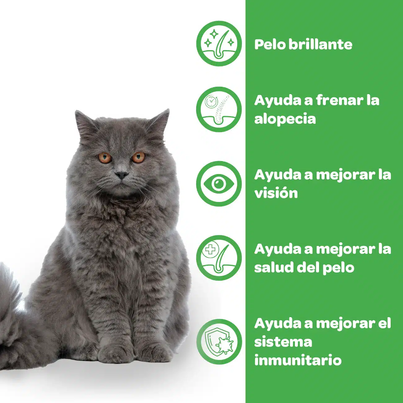 Biotina para perros y gatos - Imagen 7