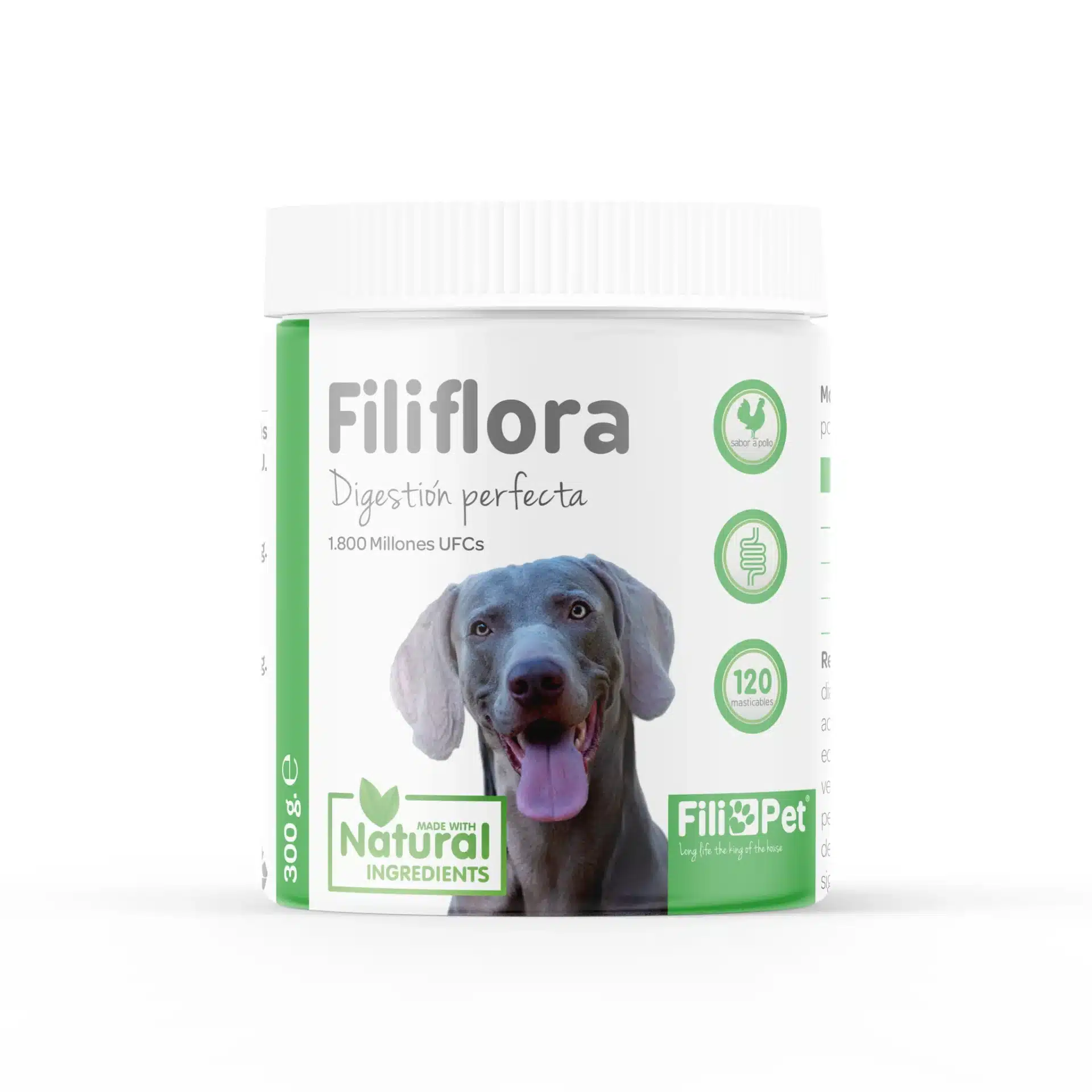 Filiflora Probiótico para perros