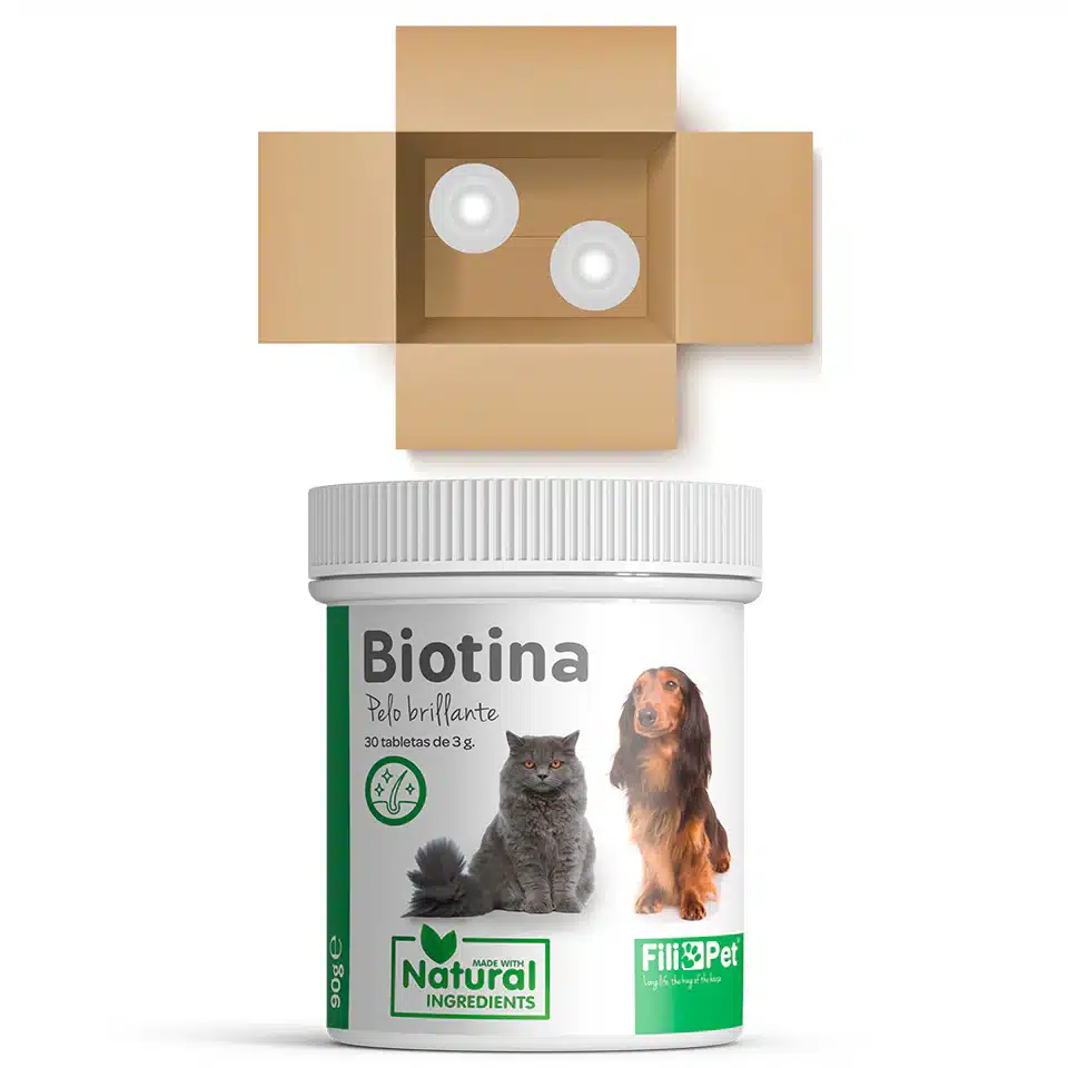 Biotina para perros y gatos - Imagen 9