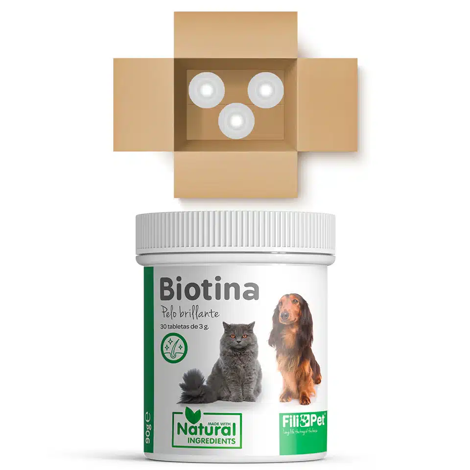 Biotina para perros y gatos - Imagen 10