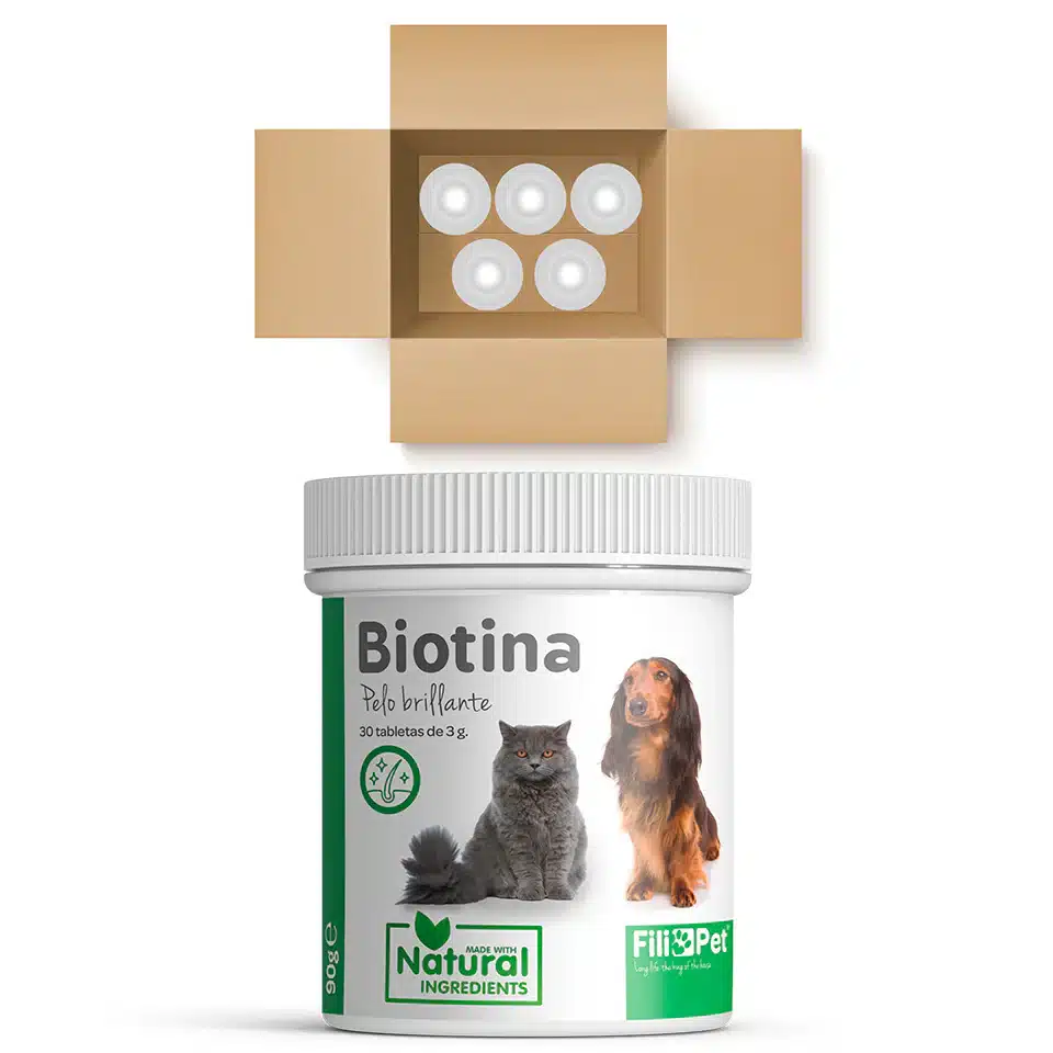 Biotina para perros y gatos - Imagen 11